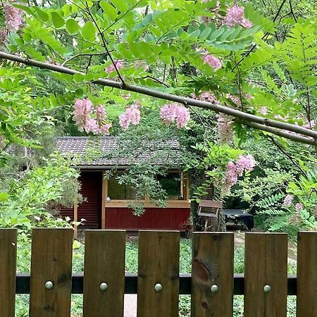 Cinke Cottage, Nest In Nature Kismaros ภายนอก รูปภาพ