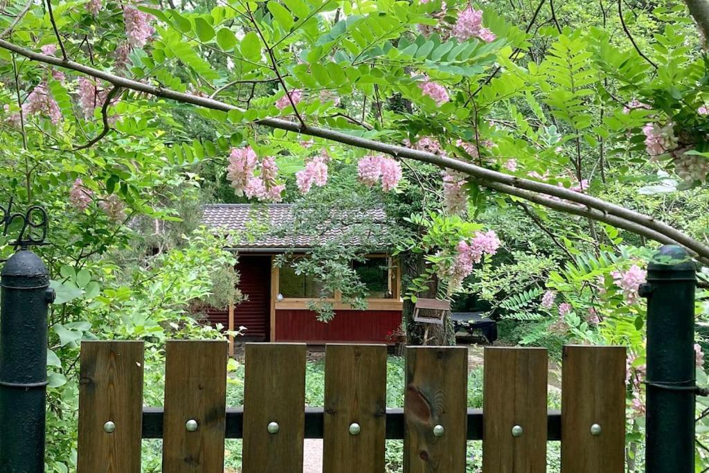 Cinke Cottage, Nest In Nature Kismaros ภายนอก รูปภาพ