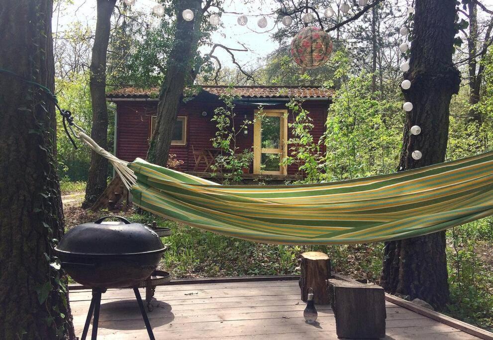 Cinke Cottage, Nest In Nature Kismaros ภายนอก รูปภาพ