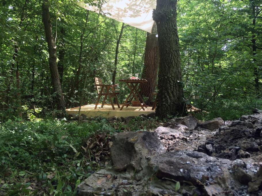 Cinke Cottage, Nest In Nature Kismaros ภายนอก รูปภาพ