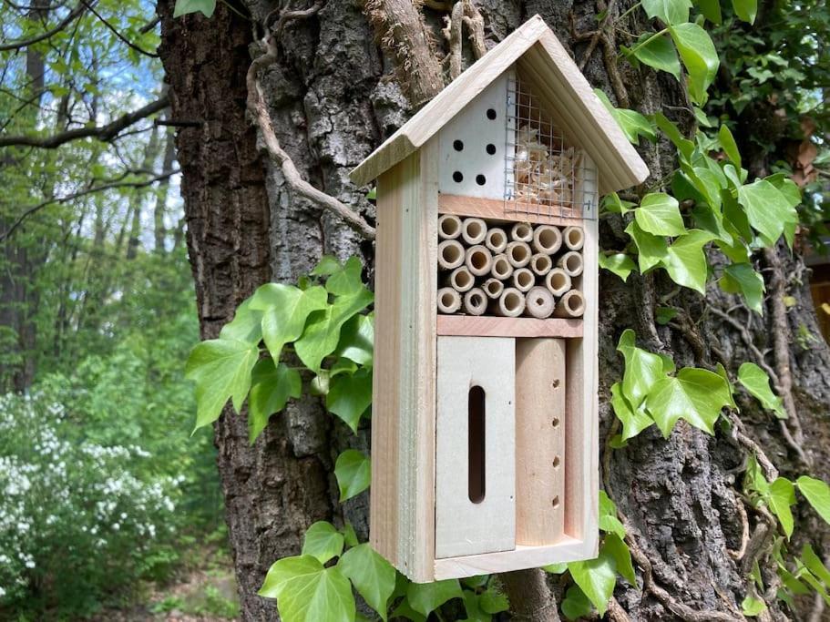 Cinke Cottage, Nest In Nature Kismaros ภายนอก รูปภาพ